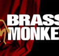 The Brass Monkey - Accommodation Redcliffe