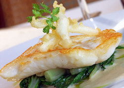 Captain Cook Tavern - Accommodation Redcliffe 2