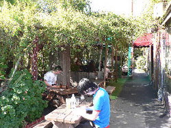 Blackcat - Accommodation Redcliffe 3