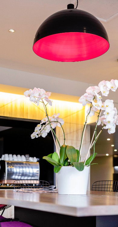MRepublic Restaurant, Bar And Lounge - Accommodation Redcliffe 4