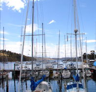 Oyster Cove Inn - Accommodation Redcliffe