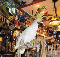 A Friend In Hand - Accommodation Redcliffe