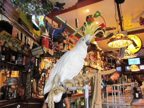 A Friend In Hand - Accommodation Redcliffe 0