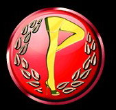 Players Showgirls - Accommodation Redcliffe