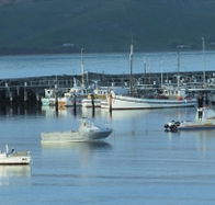 The Apollo Bay Hotel