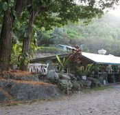 Ellis Beach Bar  Grill