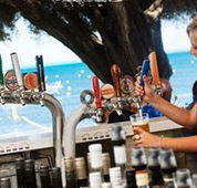 Quokka Arms - Accommodation Redcliffe