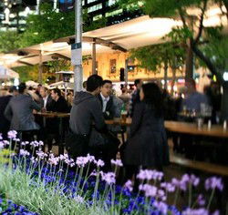 Quay Bar - Accommodation Redcliffe 0