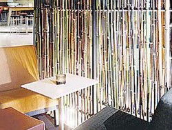 Llama Bar - Accommodation Redcliffe 2
