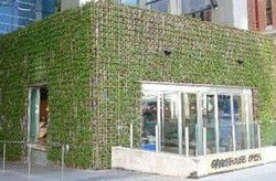 Greenhouse - Accommodation Redcliffe 2