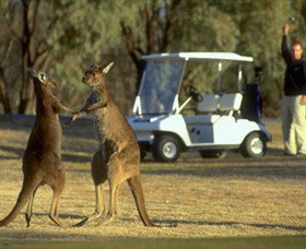 Coomealla Golf Club - Accommodation Redcliffe 2