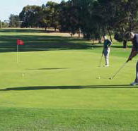 Waikerie Golf Club - Accommodation Redcliffe