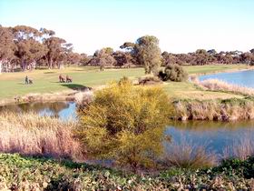 Maitland Golf Club Incorporated - Accommodation Redcliffe 1
