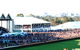 South Australian Jockey Club - thumb 0