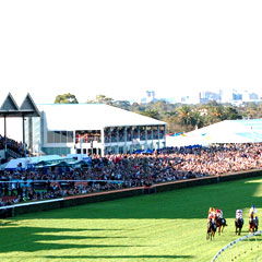 South Australian Jockey Club - Accommodation Redcliffe 0