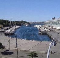 Woolloomooloo Bay Hotel - Accommodation Redcliffe