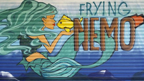 Frying Nemo - Accommodation Redcliffe 3