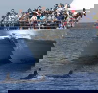 MoonshadowTQC Cruises - Accommodation Redcliffe