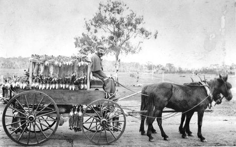 A Tale Of Two Villages - An Exhibition - Accommodation Redcliffe 1