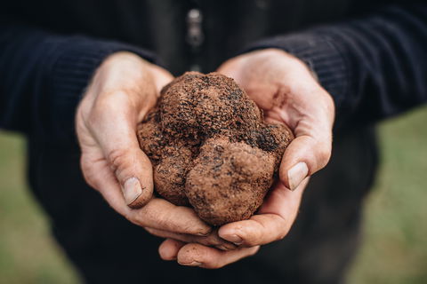 A Taste Of Truffles - Accommodation Redcliffe 0