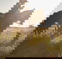 Balonne Cutting Horse Futurity - Accommodation Redcliffe