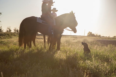 Balonne Cutting Horse Futurity - Accommodation Redcliffe 0