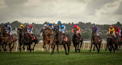Bathurst Cup - Accommodation Redcliffe 1