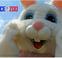 Easter Egg-stravaganza - Accommodation Redcliffe