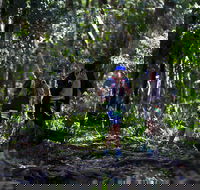 Elephant Trail Race - Accommodation Redcliffe