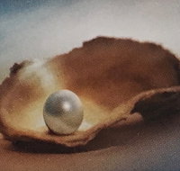 Lecture Cancelled  ADFAS  Lecture Half-Day - Patricia Law speaking on Pearls and Diamonds - Accommodation Redcliffe