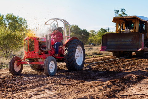 Miles Back To The Bush Festival - Accommodation Redcliffe 1