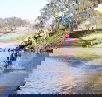 Mountain Man Tri Challenge - Accommodation Redcliffe