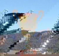 Nimbin Poetry World Cup - Accommodation Redcliffe