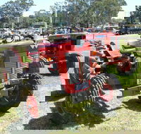 Oil Steam and Kerosene Family Fun Day - Accommodation Redcliffe