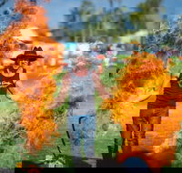 Outback Festival - Accommodation Redcliffe