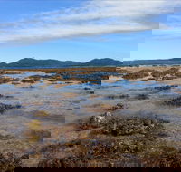 Walk to the Reef - Accommodation Redcliffe