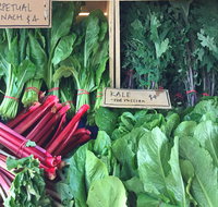 Albury Wodonga Farmers Market - Accommodation Redcliffe