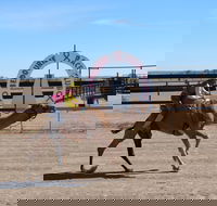 Bedourie Camel and Pig Races and Camp oven Cook-off - Accommodation Redcliffe