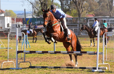 Glen Innes Pastoral And Agricultural Show - Accommodation Redcliffe 0