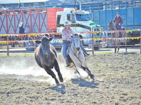Gresford  Campdraft And Rodeo - Accommodation Redcliffe 0