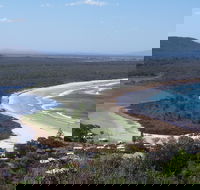 Head to Head Walk Run - Accommodation Redcliffe