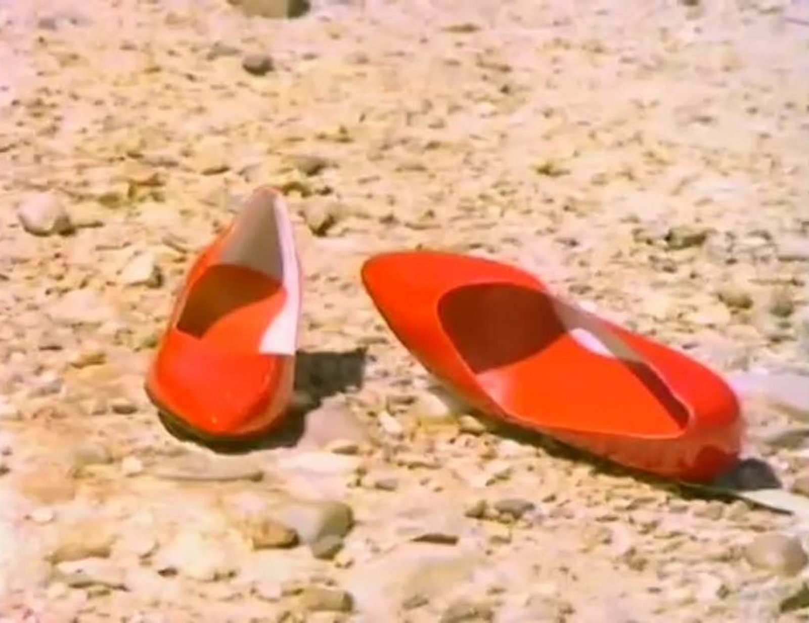 Neilrex NSW Accommodation Redcliffe