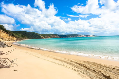 Longreach Leg - Beach To Reach 2020 - Accommodation Redcliffe 2