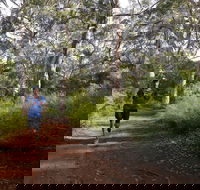 Margaret River Ultra Marathon - Accommodation Redcliffe