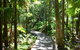 Mindfulness Escapes Byron Bay - thumb 1