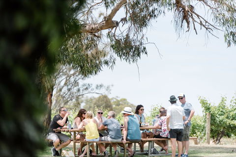 Music On The Murray - Accommodation Redcliffe 0