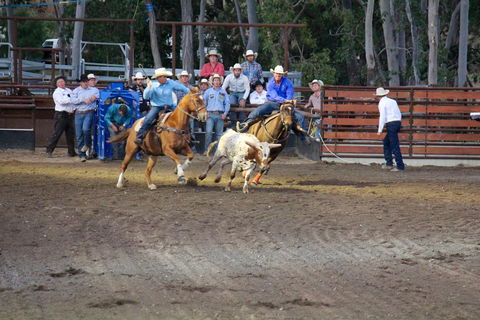 North Queensland Elite Rodeo - Accommodation Redcliffe 0