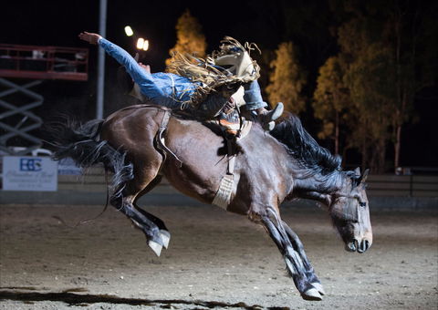 North Queensland Elite Rodeo - Accommodation Redcliffe 1
