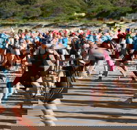 Port Stephens Triathlon Festival - Accommodation Redcliffe