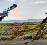 SunSmart Busselton Festival of Triathlon - Accommodation Redcliffe